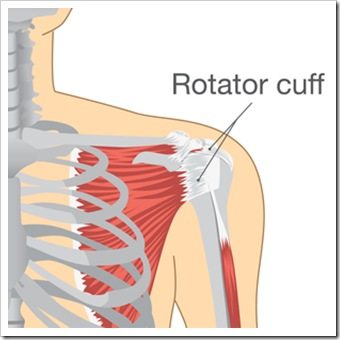 Shoulder Pain Spartanburg SC Rotator Cuff Injury